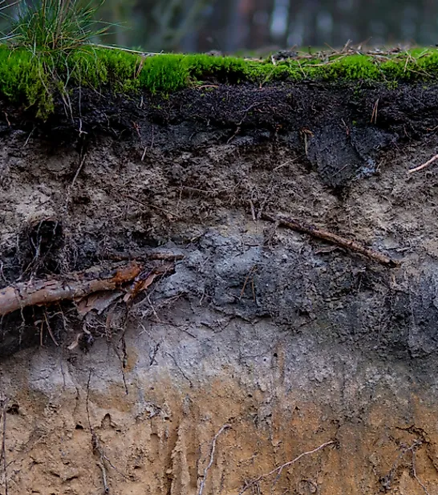 Waar komt het zand in onze bodem vandaan?